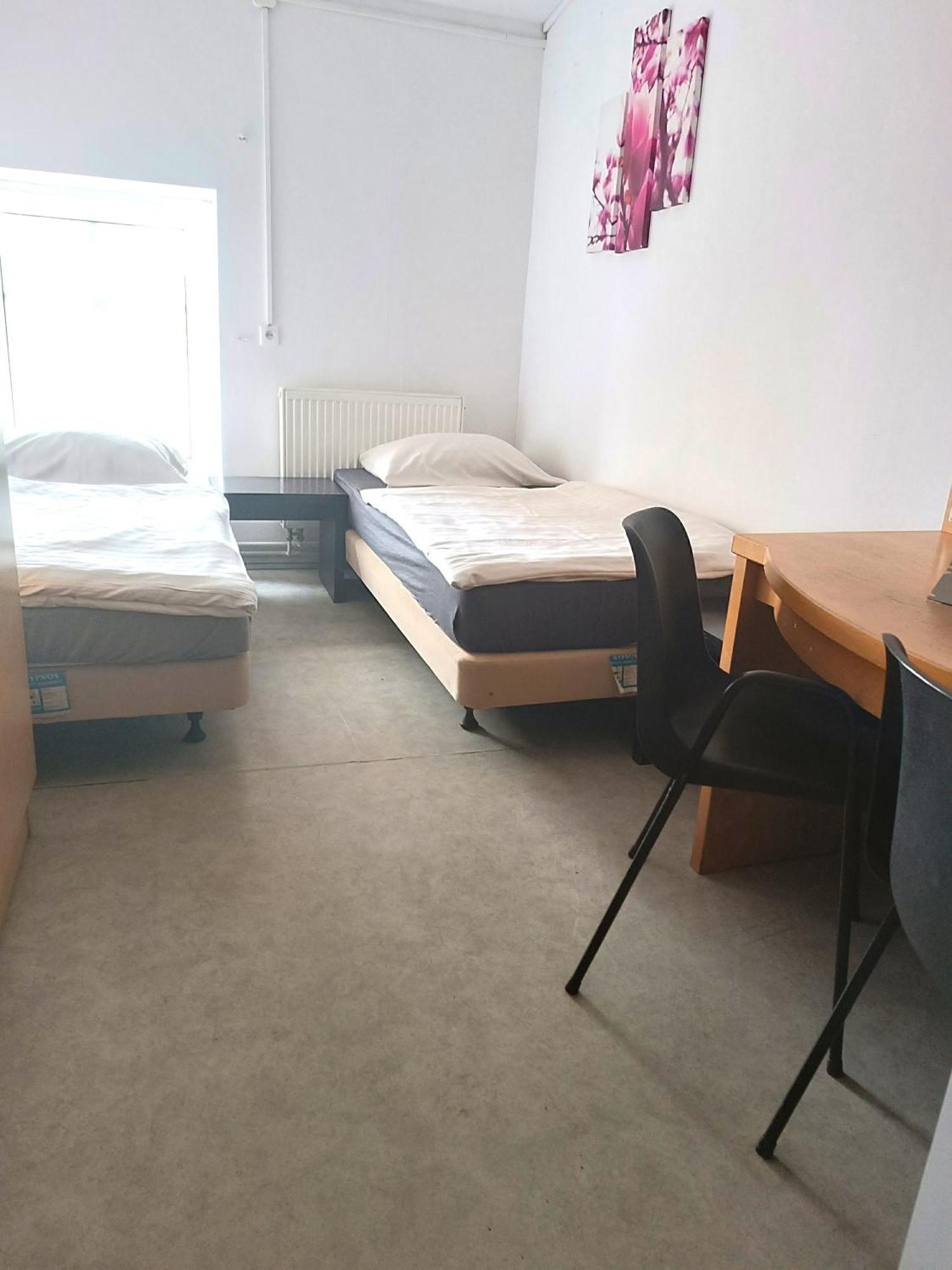 Hostel Krosnienska 12 Zielona Gora  Bagian luar foto